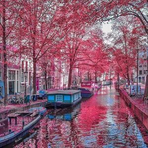 Meet your Posher, Sharon